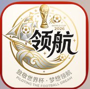 领航国际